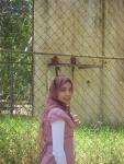 youssef
